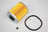 AUTOMEGA 3008180531 Fuel filter